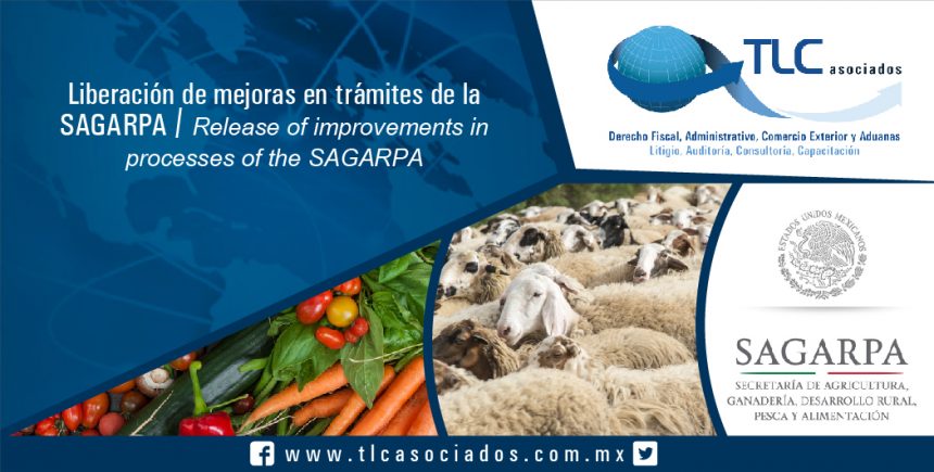 090 – Liberación de mejoras en trámites de la SAGARPA / Release of improvements in processes of the SAGARPA