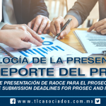 230 – Plazos de Presentación de RAOCE para el PROSEC e IMMEX / RAOCE Submission Deadlines for PROSEC and IMMEX