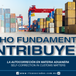 240 – La autocorrección en materia aduanera / Self-correction in customs matters