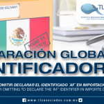 241 – Fiscalización por omitir declarar el identificador ‘AF’ en importaciones de activo fijo / Inspection for omitting to declare the ‘AF’ identifier in imports of fixed assets