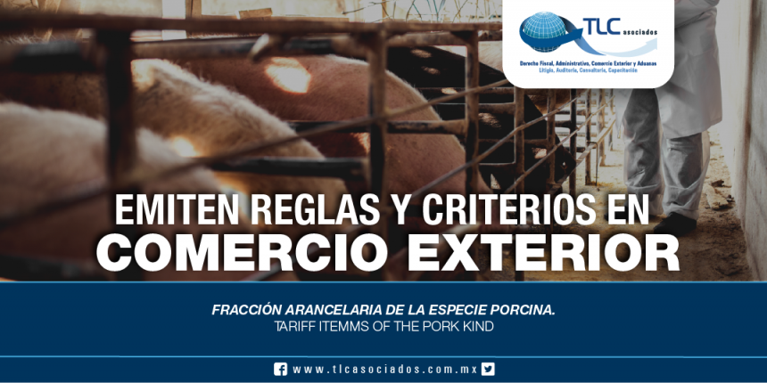 255 – Fracción arancelaria de la especie porcina / Tariff itemms of the pork kind