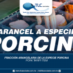 271 – Fracción arancelaria de la especie porcina / Pork Tariff Item