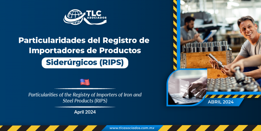 Particularidades del Registro de Importadores de Productos Siderúrgicos (RIPS)