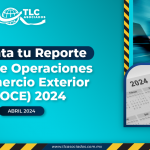 Presenta tu Reporte Anual de Operaciones de Comercio Exterior (RAOCE) 2024