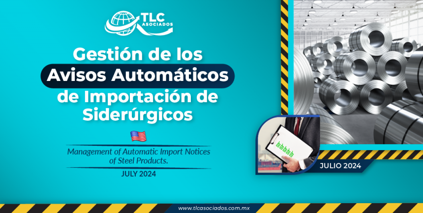 Gestión de los Avisos Automáticos de Importación de Siderúrgicos