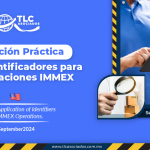 Aplicación Práctica de los Identificadores para las Operaciones IMMEX