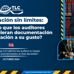 Fiscalización sin límites: ¿Es válido que los auditores fiscales requieran documentación e información a su gusto?