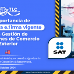 La importancia de mantener la e.firma vigente en la Gestión de Operaciones de Comercio Exterior